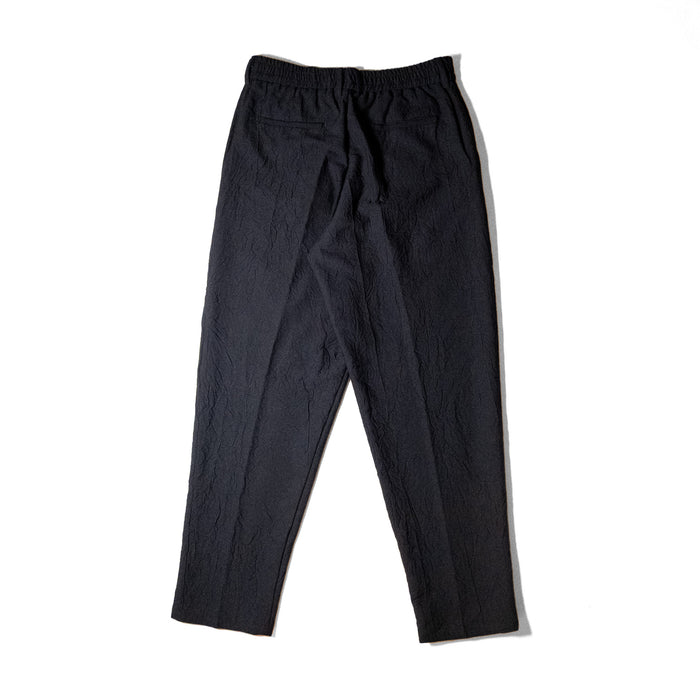 STEVE PANT